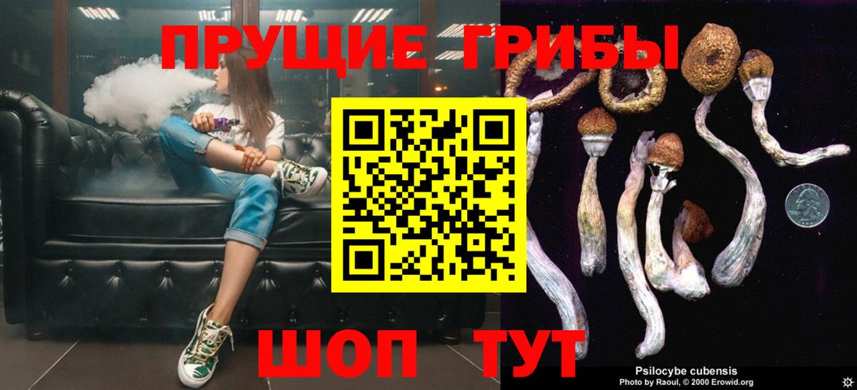 Галлюциногенные грибы MAGIC MUSHROOMS  Галлюциногенные грибы Psilocybe  Рубцовск  купить наркотики сайты  Вход с VPN 